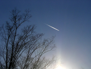060108_winter sky.JPG